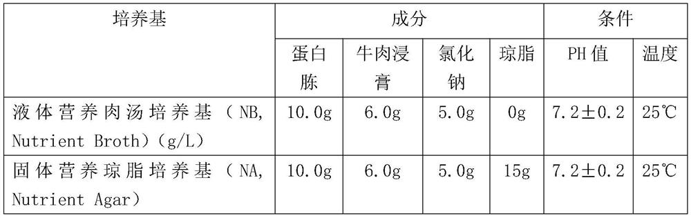 A kind of preparation method of water-oil universal nano-silver antibacterial agent that can be used for antibacterial coating