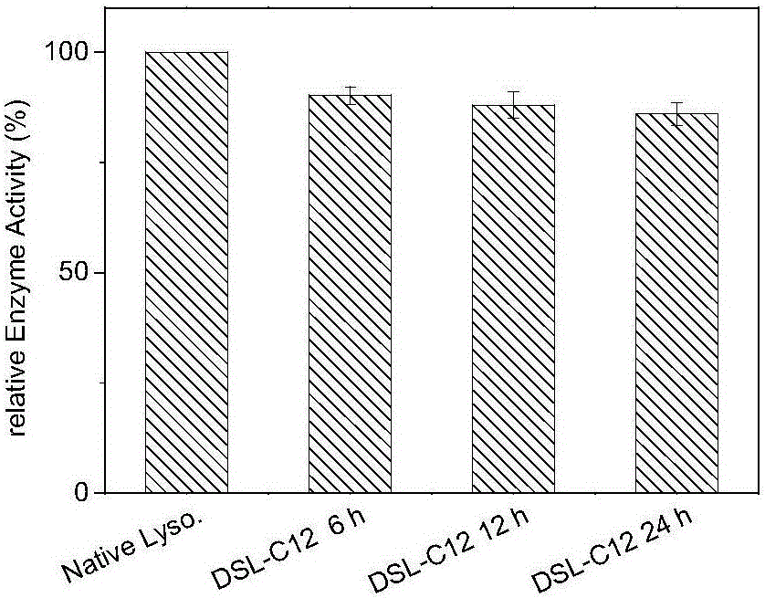 Lysozyme with covalent modification through medium and long chain fat chain acyl-free sophorolipid derivatives and modifying method and application of lysozyme