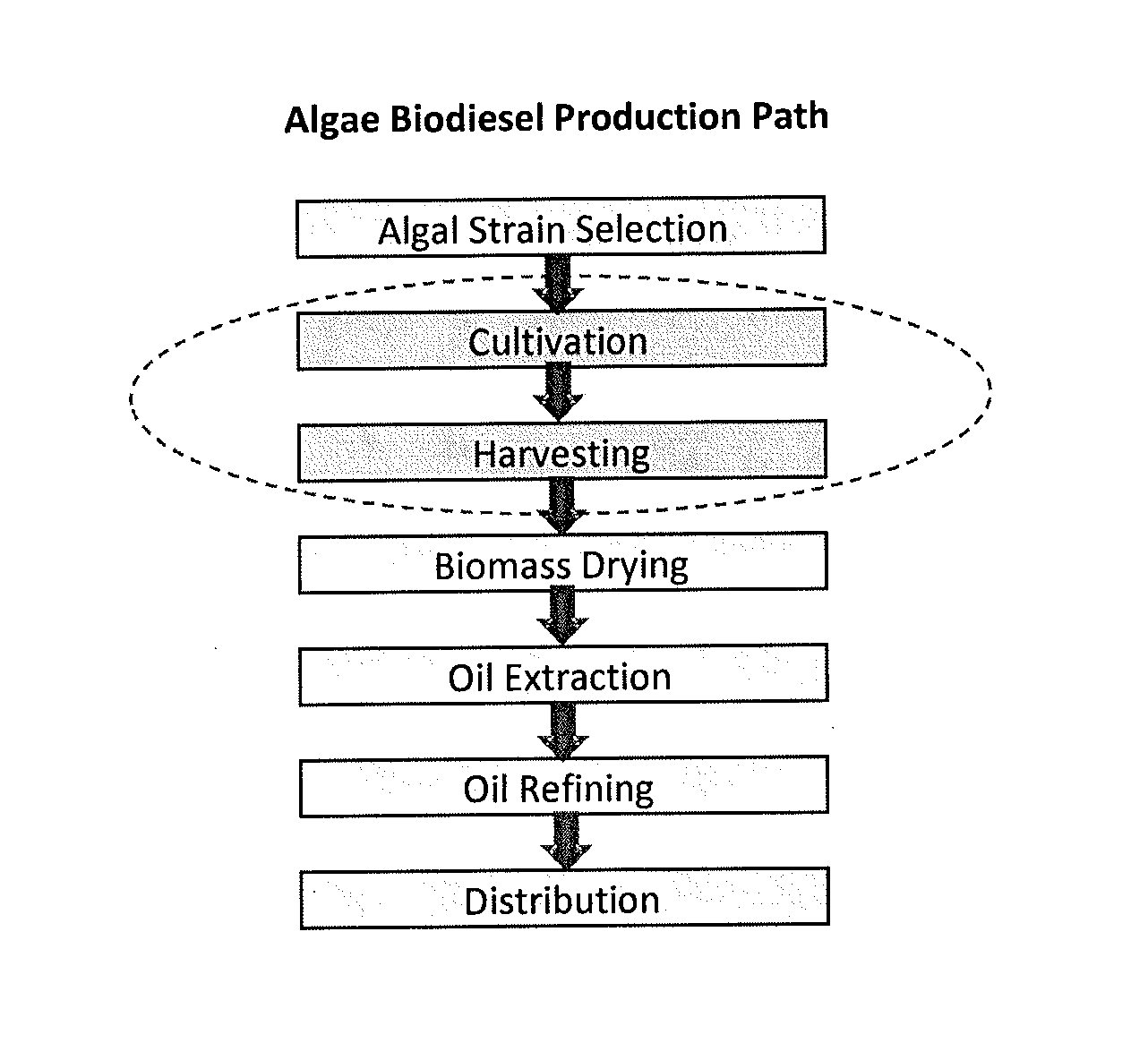 Systems and methods for cultivating and harvesting blue water bioalgae and aquaculture