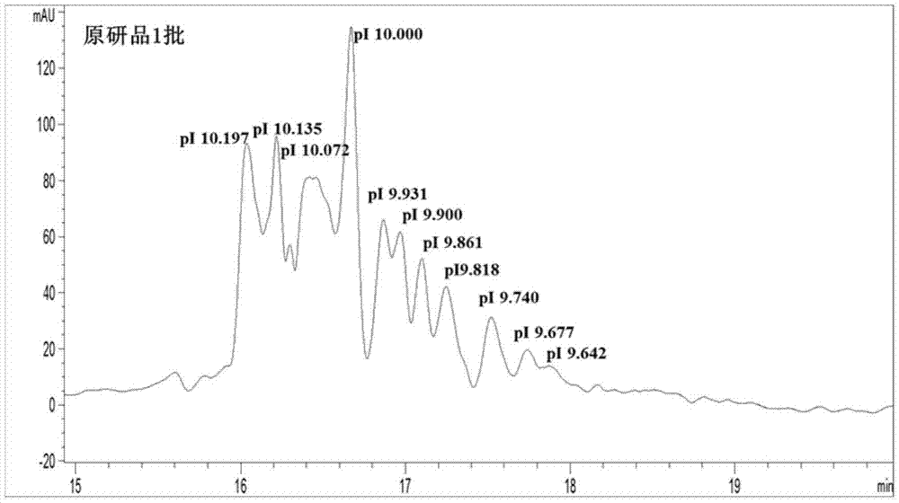 Capillary isoelectric focusing analysis method for polypeptide polymer