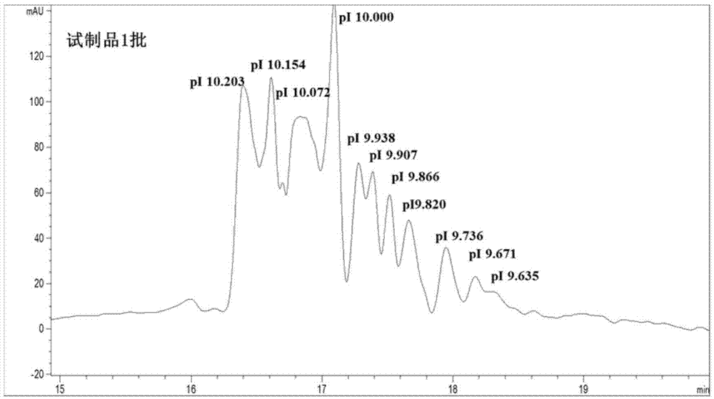 Capillary isoelectric focusing analysis method for polypeptide polymer