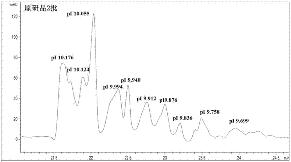 Capillary isoelectric focusing analysis method for polypeptide polymer