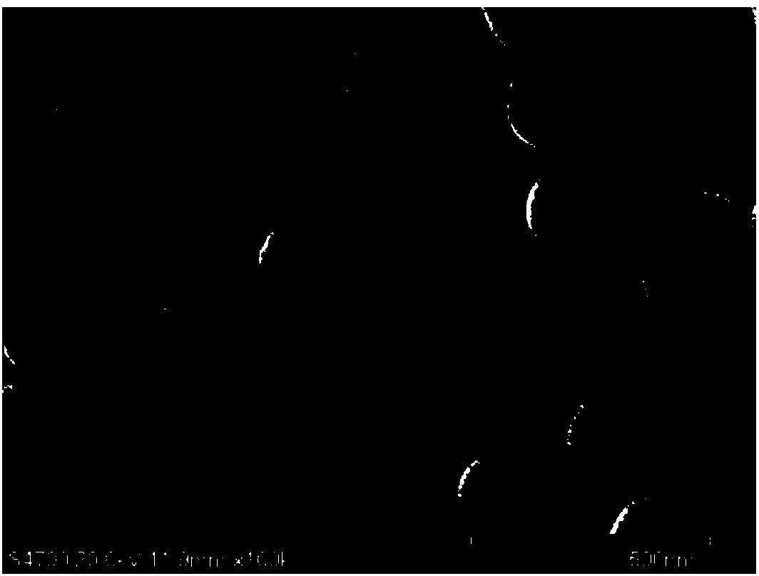 Method for preparing nonspherical, raspberry-shaped or hollow polymer microspheres through one-pot dispersion polymerization