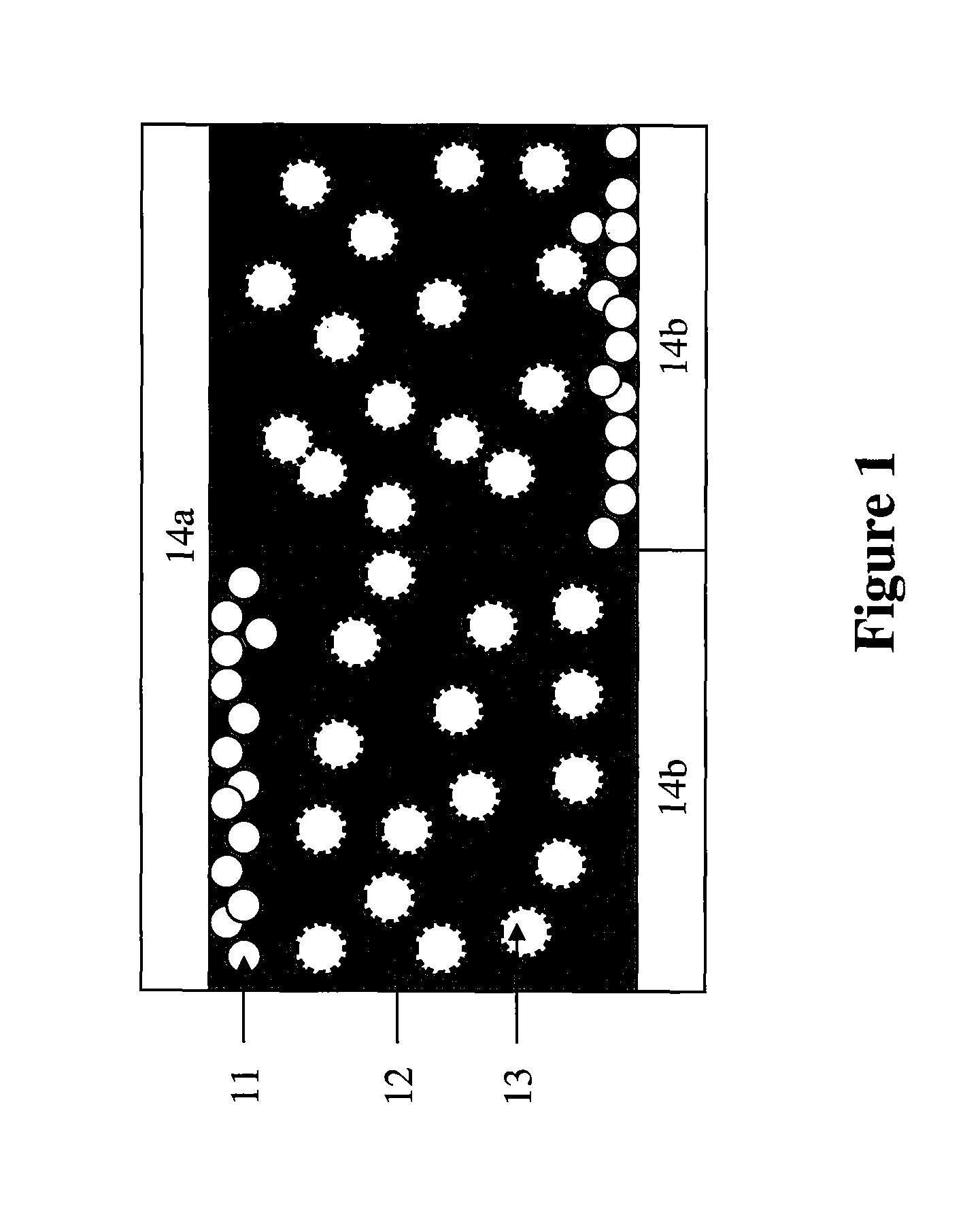 Additive for improving optical performance of an electrophoretic display