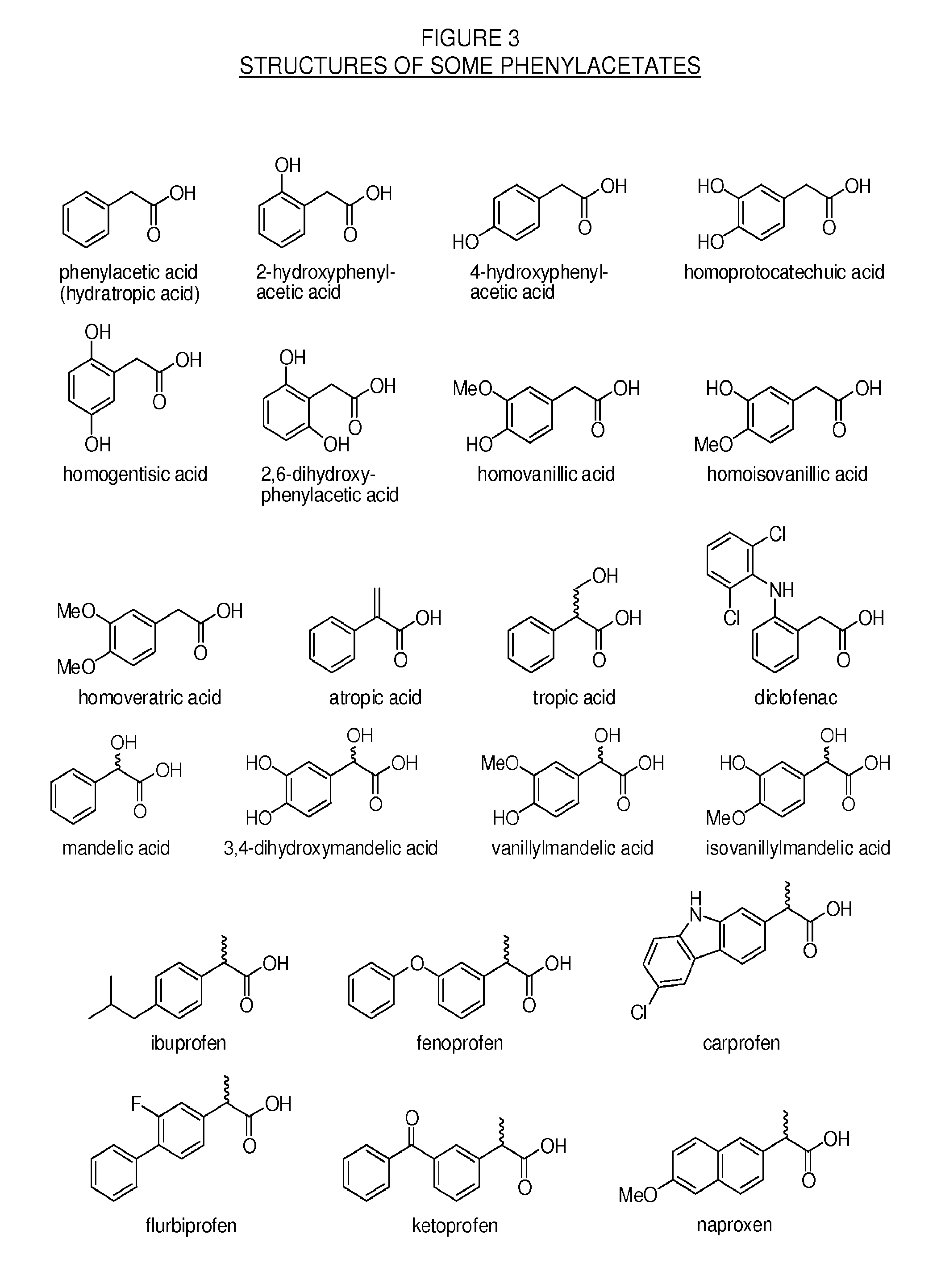 Methylphenidate-oxoacid conjugates, processes of making and using the same