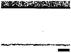 High-strength diffusion connection method for titanium-steel alloy