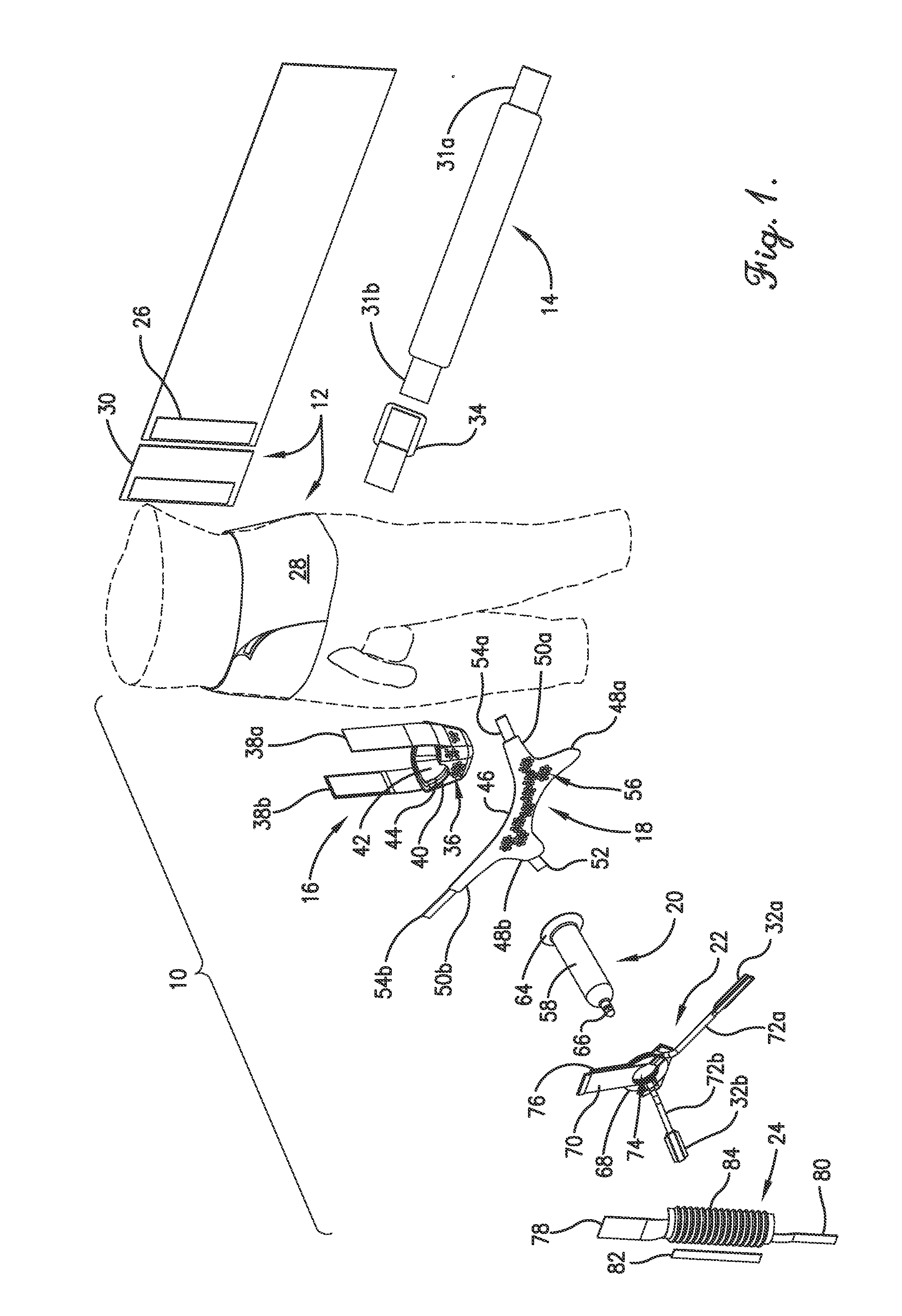 Male genital support system