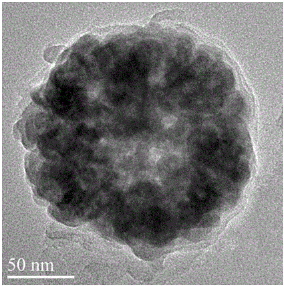 Magnetic nano material with carbon shell layer and preparation method thereof