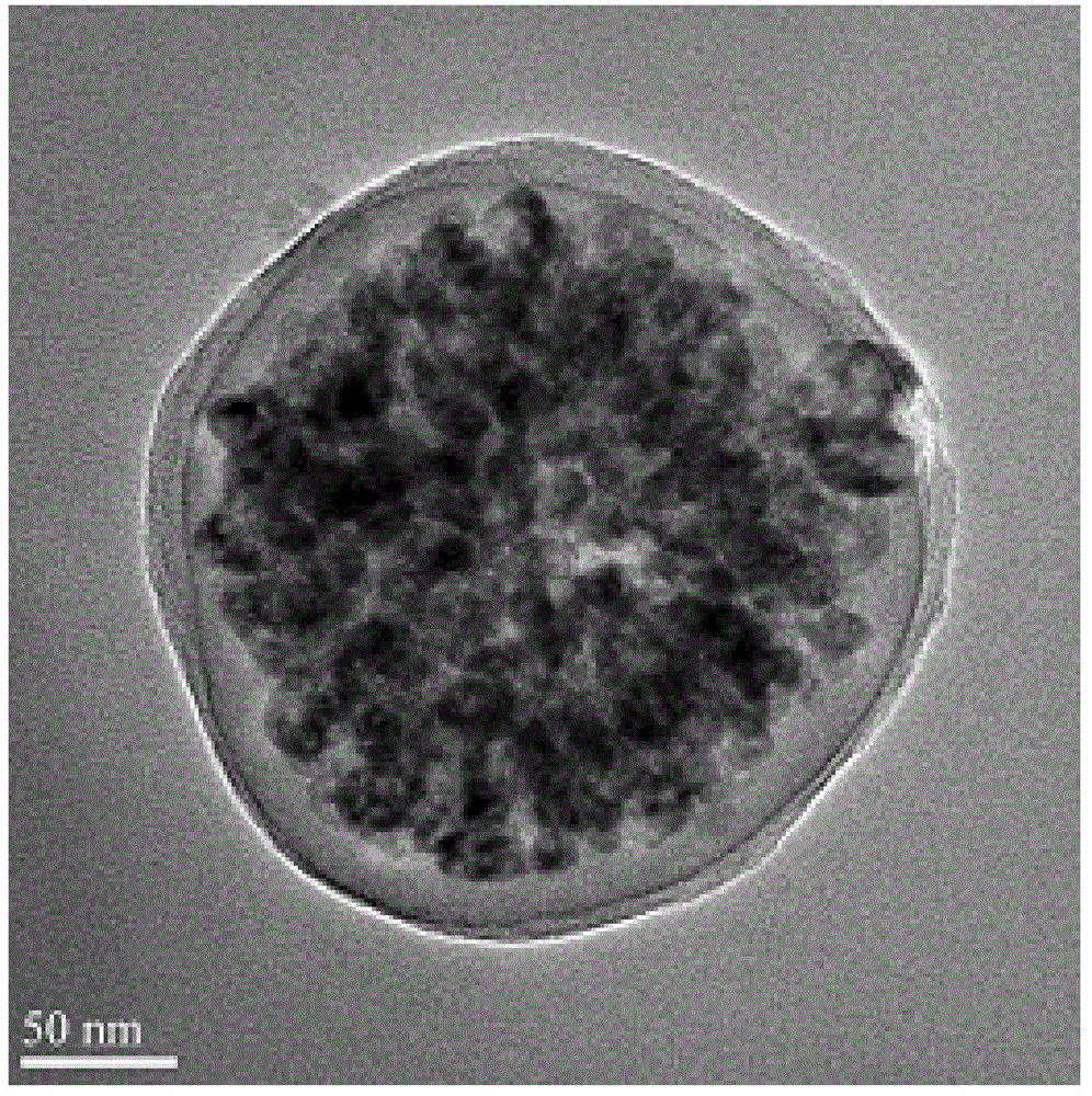 Magnetic nano material with carbon shell layer and preparation method thereof