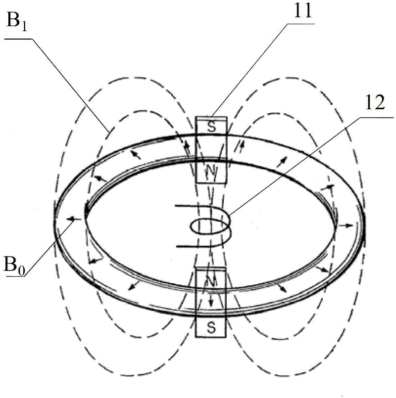 Nuclear magnetic resonance logger probe while drilling and nuclear magnetic resonance logger while drilling