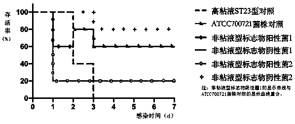 Kit for detecting non-mucus type klebsiella pneumoniae with high virulence