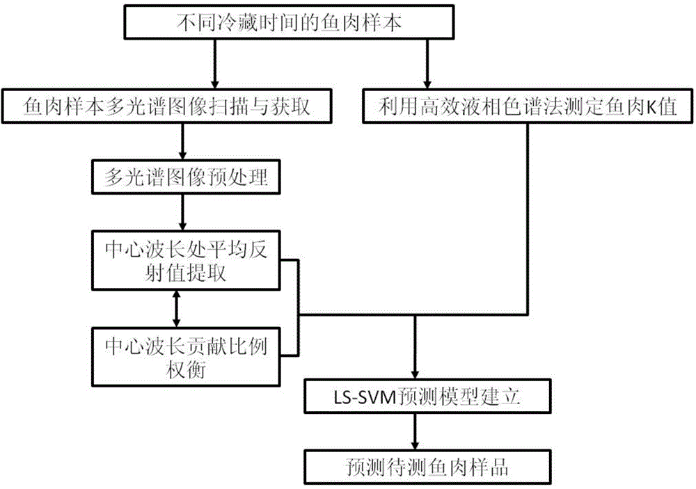 Method for measuring fish freshness index value K in online way based on multi-spectral imaging