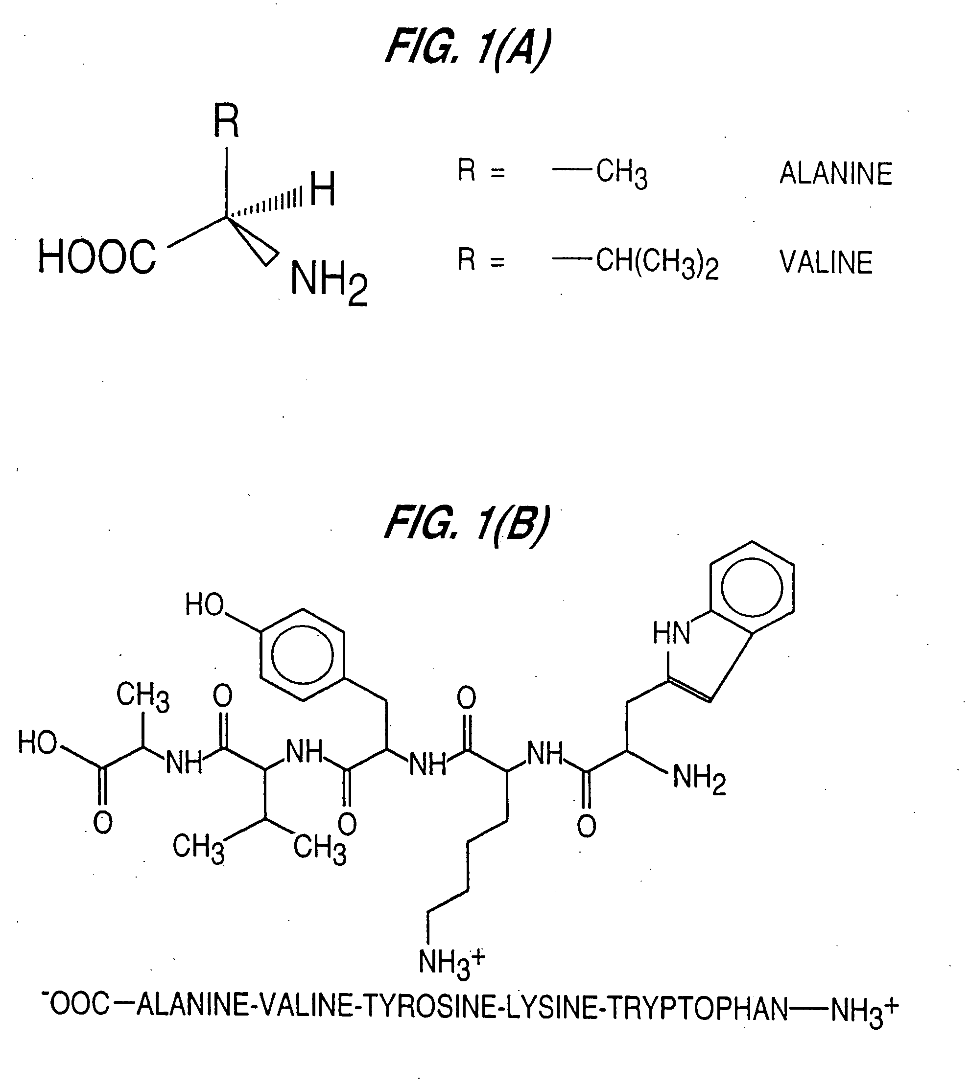 Detection of markers in nascent proteins