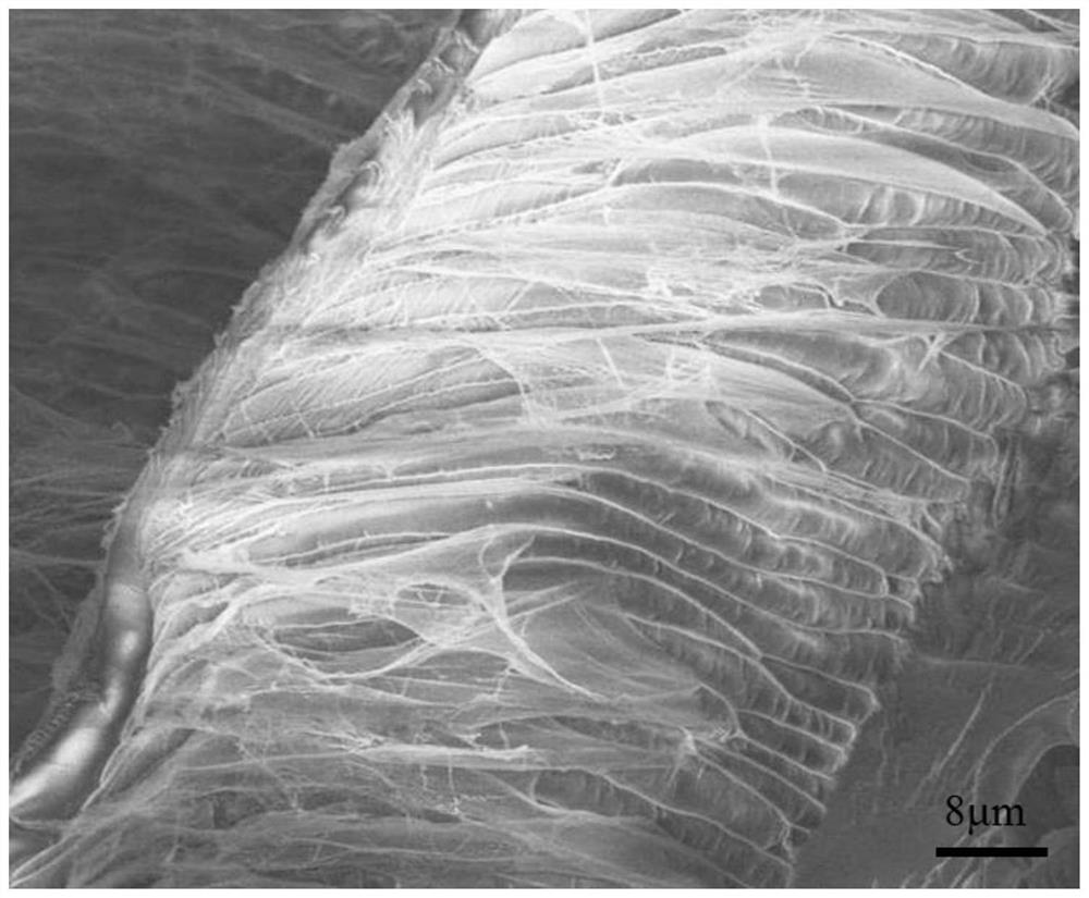 Method for improving the adhesion performance of polyacrylamide hydrogel and the obtained polyacrylamide hydrogel