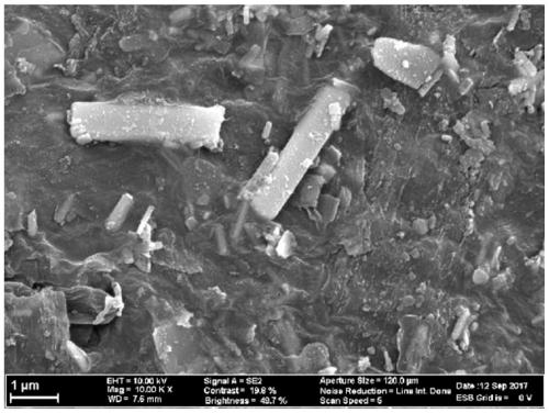 Preparation method IXXX negative electrode foil for aluminum electrolyte capacitor