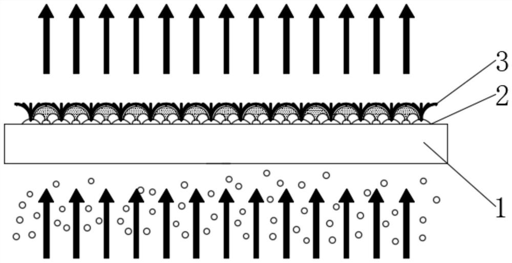 Self-throughput oil absorption filter plate for oil-containing waste gas