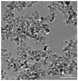 Photocatalytic sterilizing and mosquito repelling agent loaded with black titanium dioxide and preparation method thereof