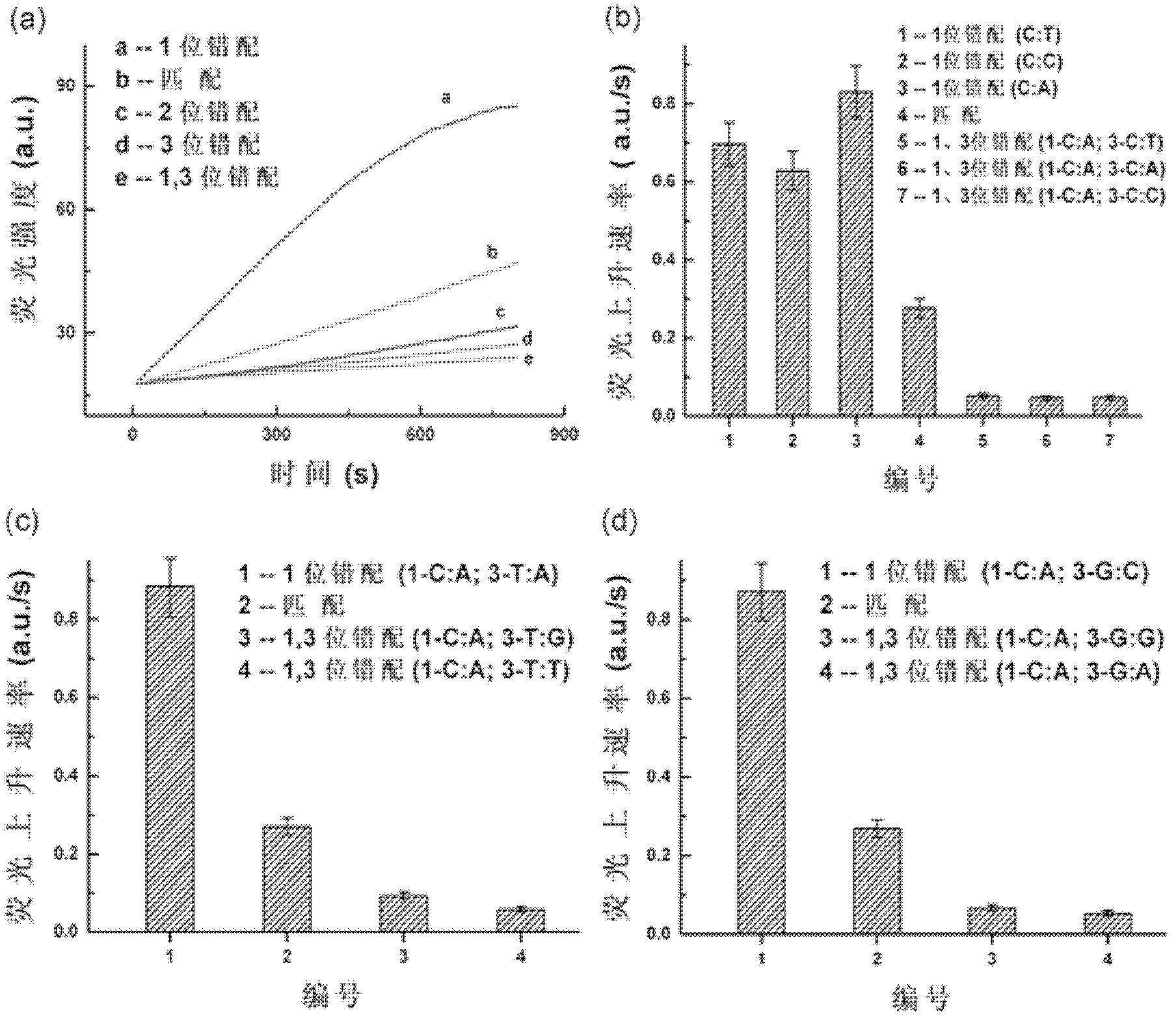 Method for specific signal amplification and detection of DNA targeted sequence