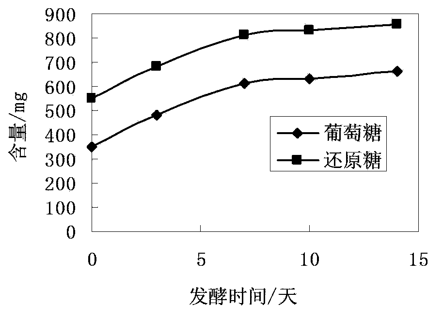 Nutrient couscous suitable for steamed vegetable and instant rice, as well as production method and application of nutrient couscous