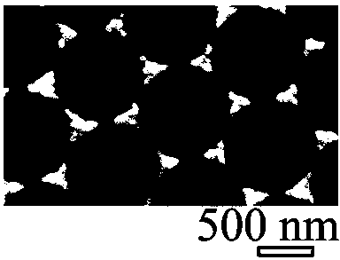 Preparation method for surface-enhanced Raman spectrum compound substrate