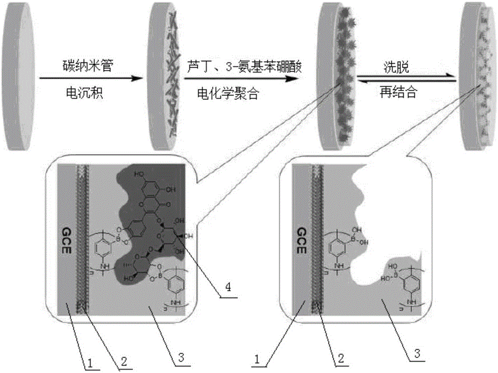 Modified electrode based on phenylboronic acid imprinted polymer/carbon nanotube, preparation method thereof and application