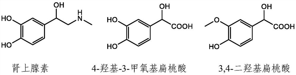 A method for the simultaneous determination of epinephrine and its metabolites based on LC-MC/MS