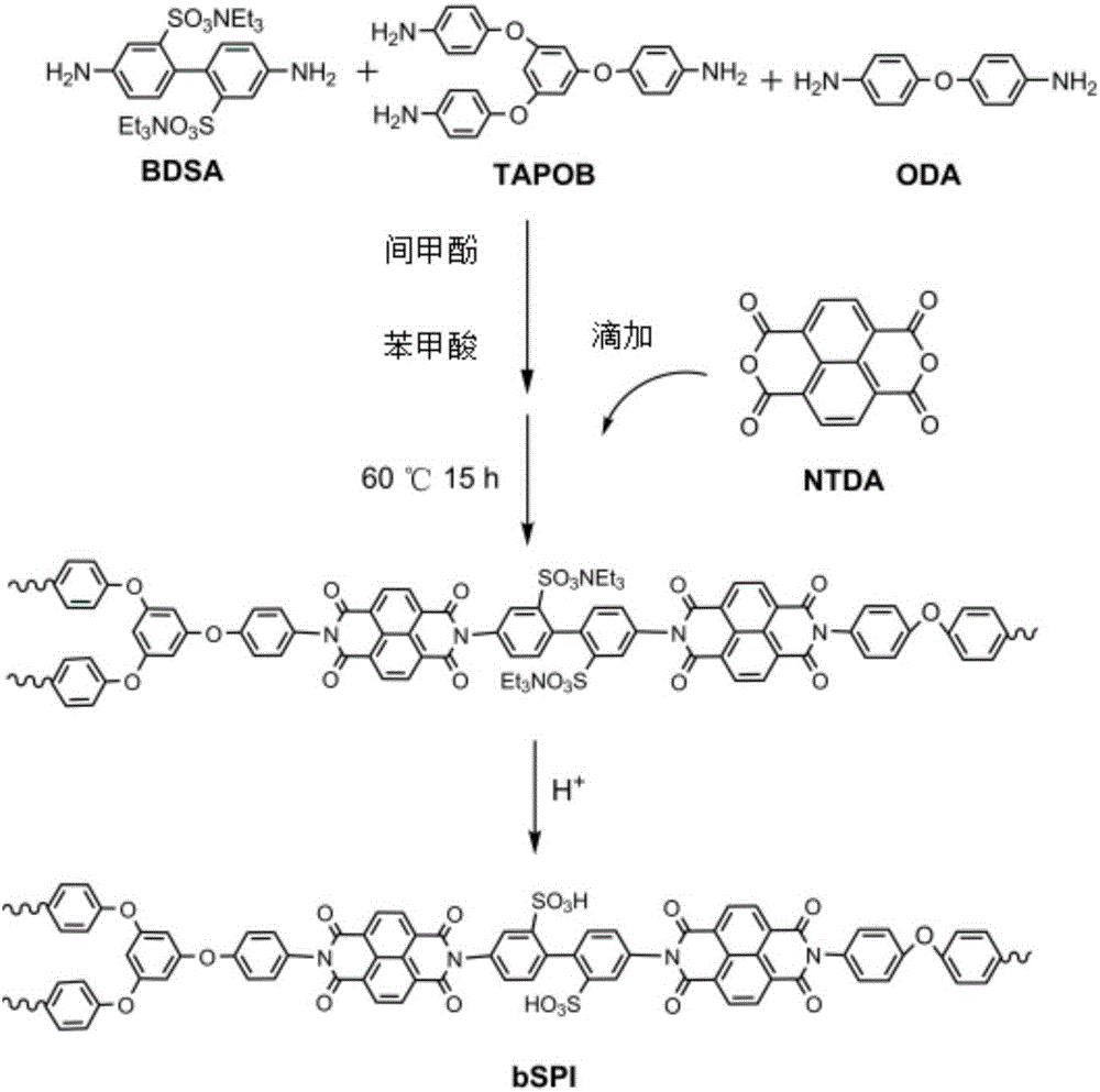 Method for preparing composite proton-conducting film from branched and sulfonated polyimide/two-dimensional layered material