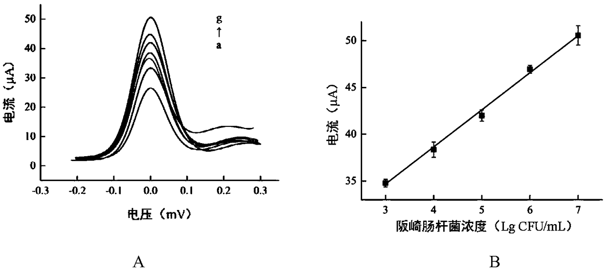 Enterobacter sakazakii phage coupled nano-magnetic beads, preparation method thereof and application