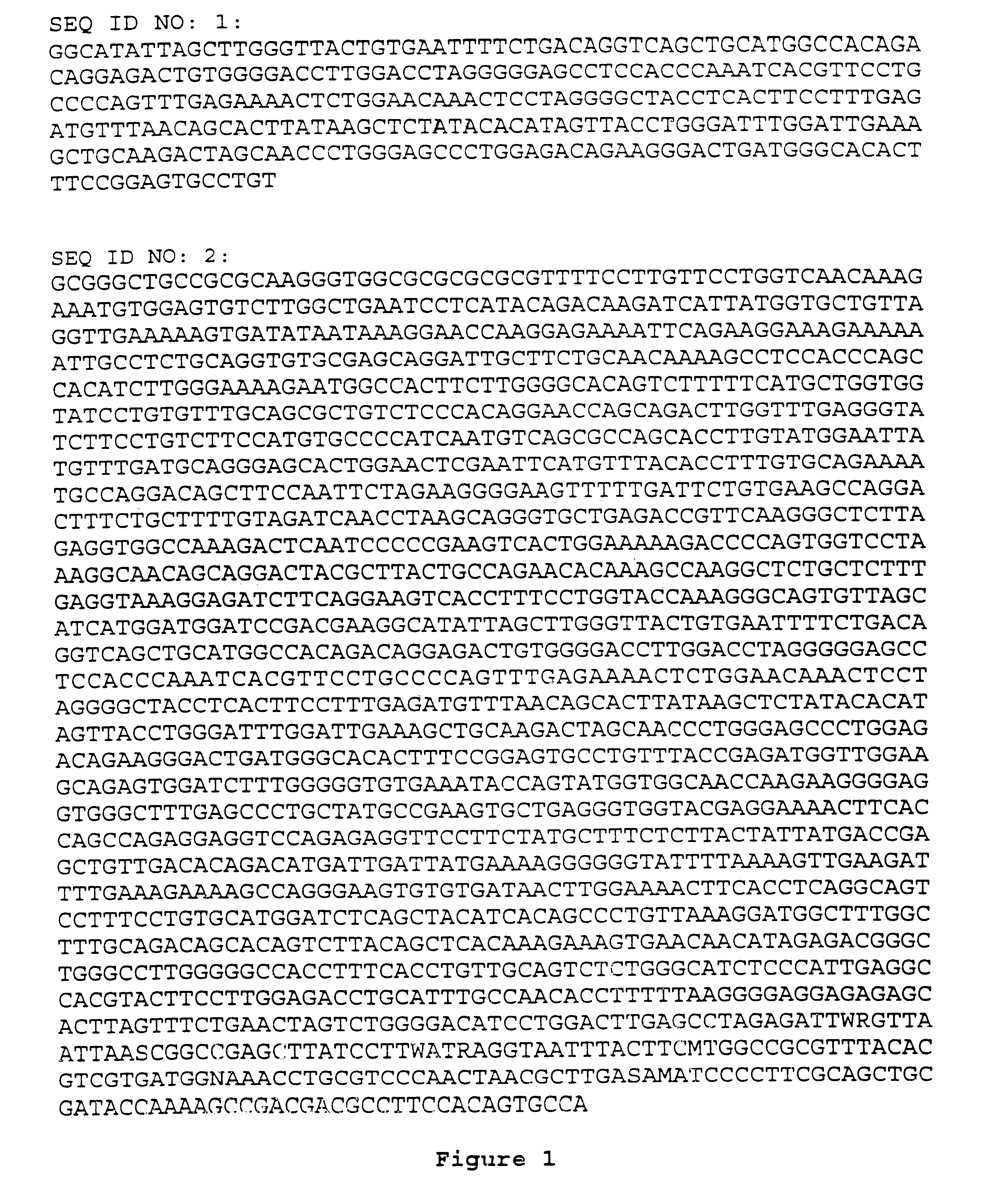 Methods and materials relating to CD39-like polypeptides