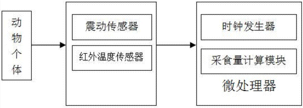 Sensing system and method for animal individual feed intake and health condition monitoring