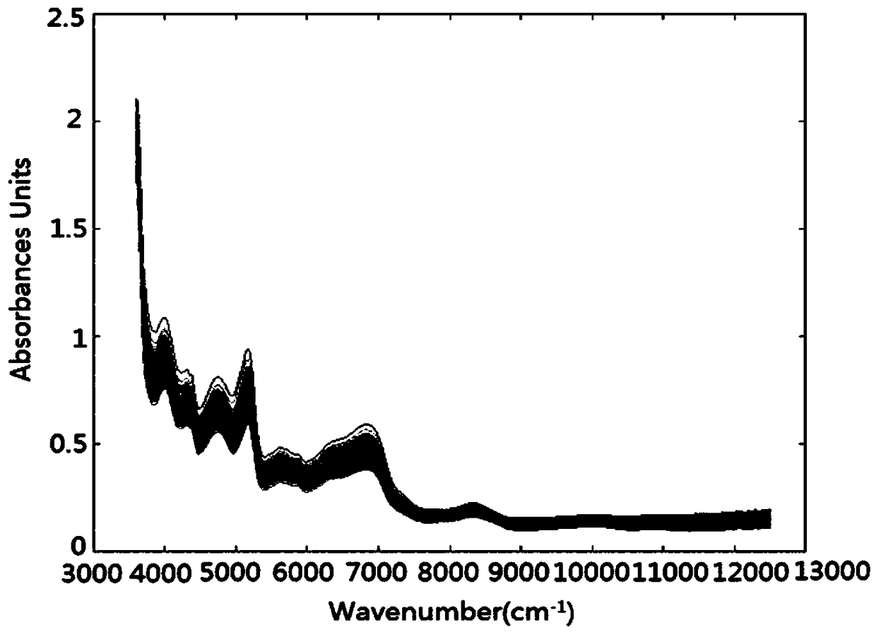 Method for measuring moisture content in rice through near infrared spectroscopy based on SiPLS