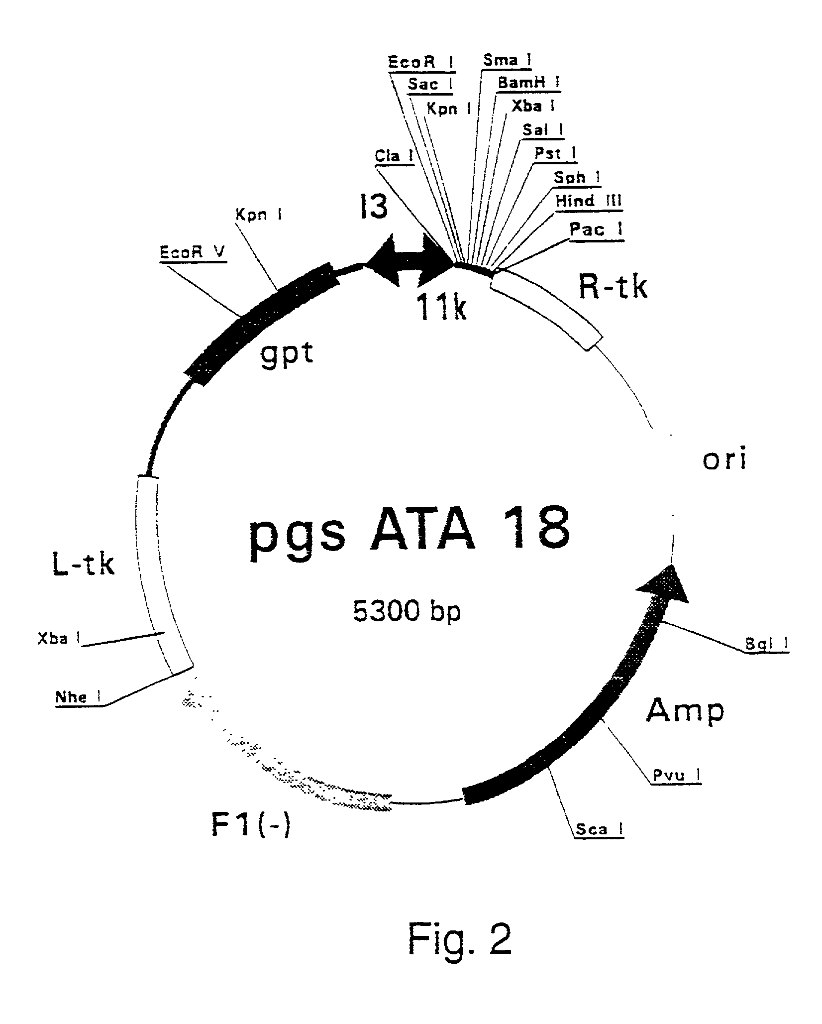 Purified hepatitis C virus envelope proteins for diagnostic and therapeutic use