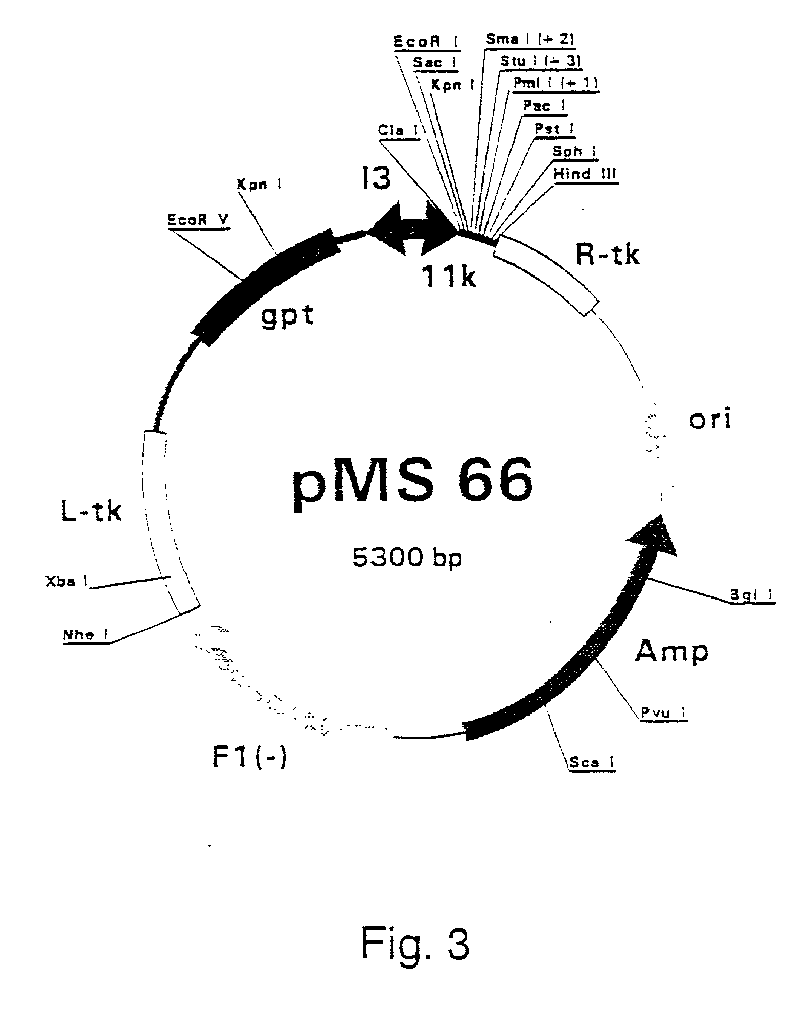 Purified hepatitis C virus envelope proteins for diagnostic and therapeutic use