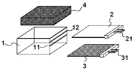 Hepialus armoricanus larva infection device and method