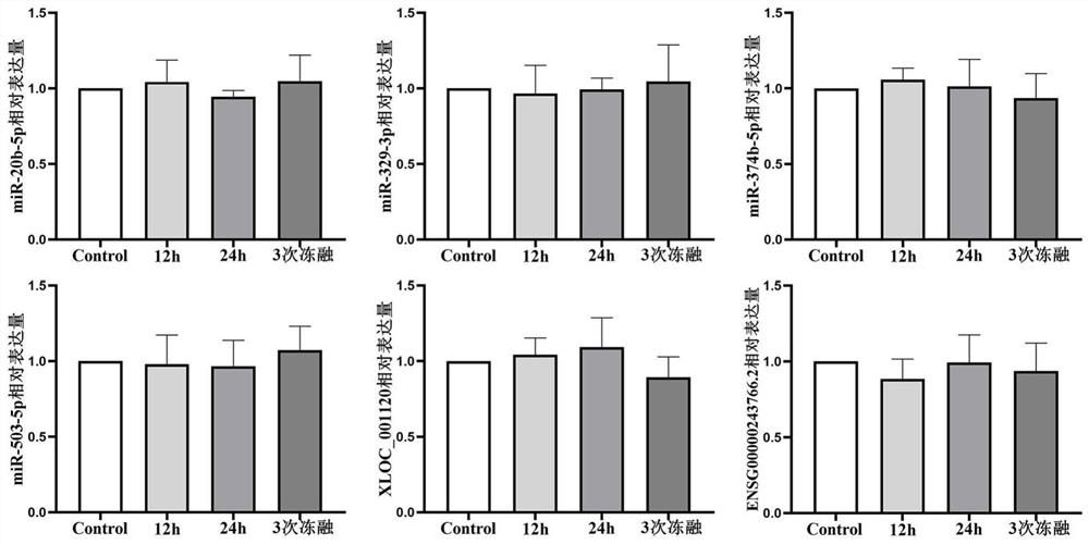 Group of plasma non-coding RNA, primer group for detecting expression level of plasma non-coding RNA and colorectal cancer (CRC) detection kit