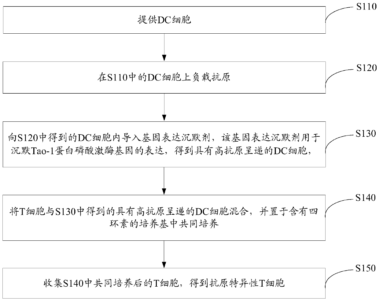 DC cells and antigen-specific T cells with high antigen presentation and their preparation methods and applications