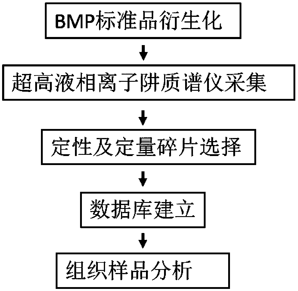 Method for detecting bis-phospholipid in high flux manner