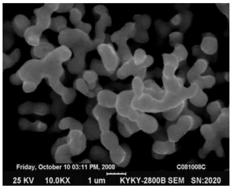 Magnetic resonance mutation spectrum material and preparation method thereof