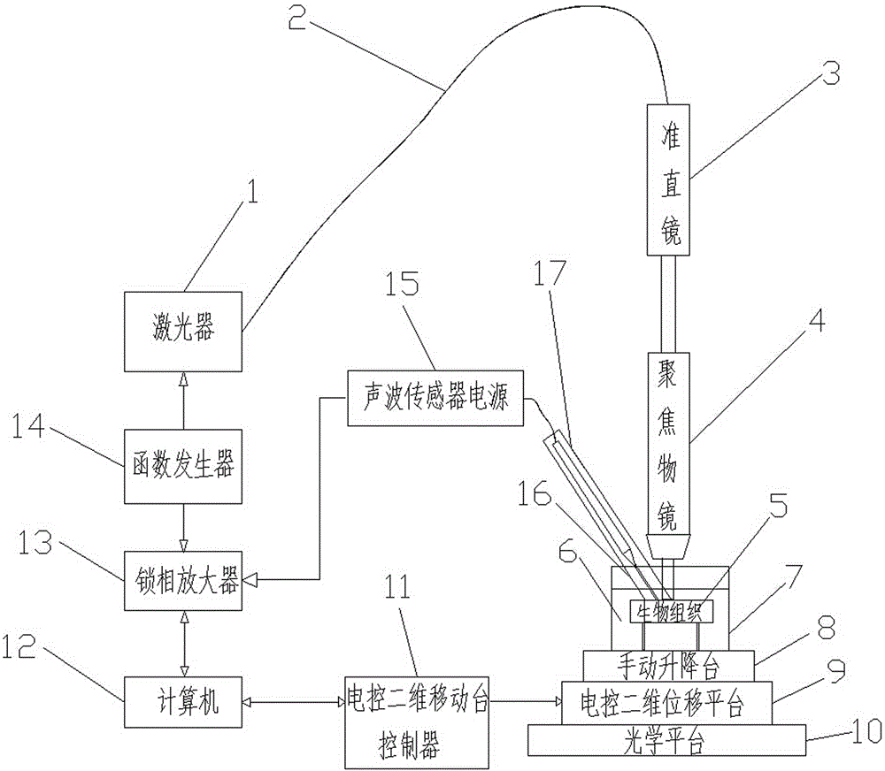 Frequency domain photoacoustic imaging detection method and system of biological tissues