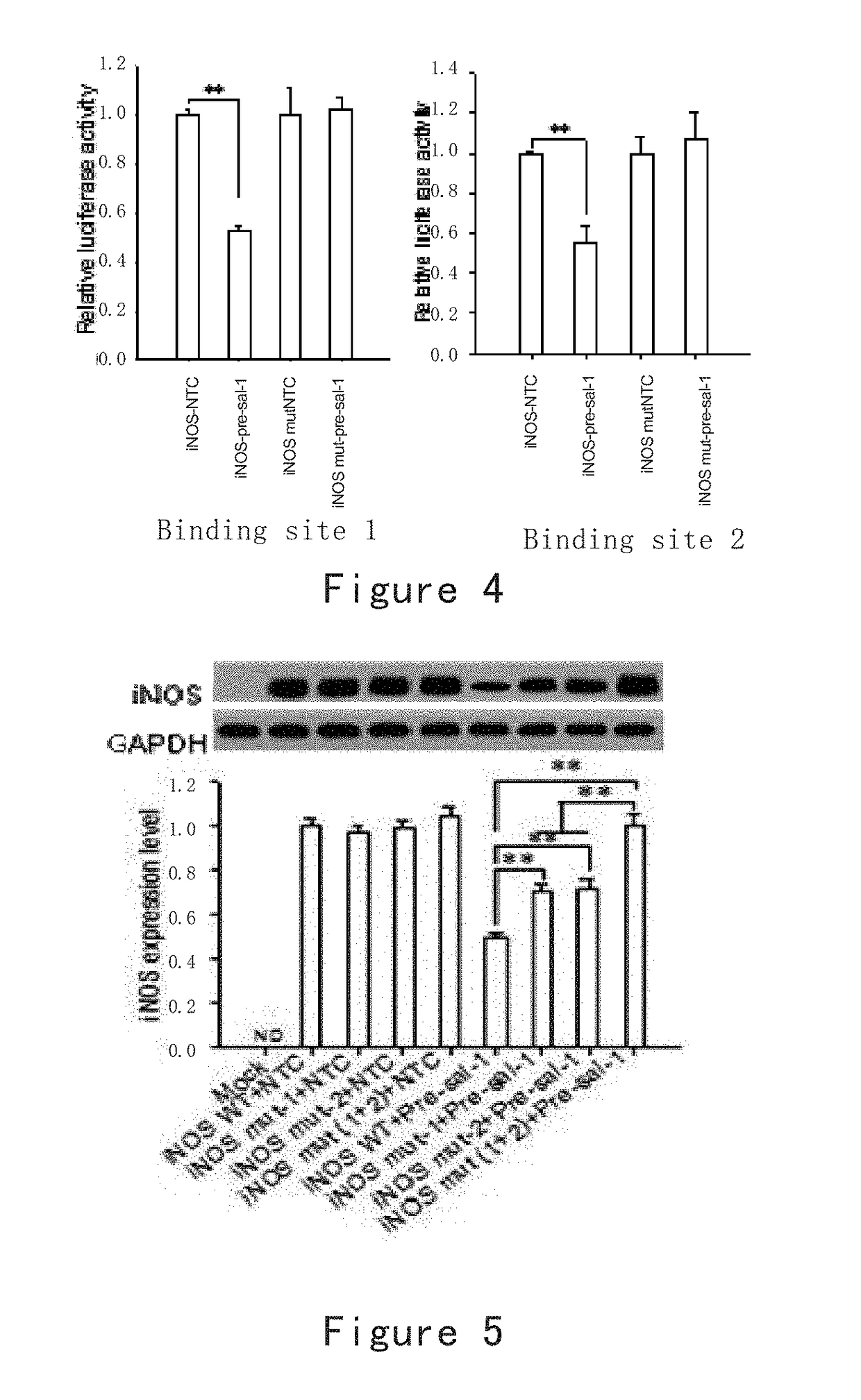 Non-coding RNA of <i>Salmonella </i>and identification and use thereof