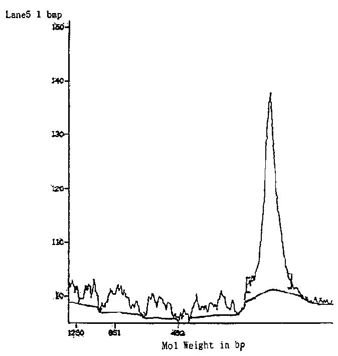 Effective renaturation liquid of recombinant human interon inclusion body and renaturation method