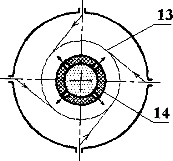 Biomass combustion device with low NOx emission and combustion method thereof