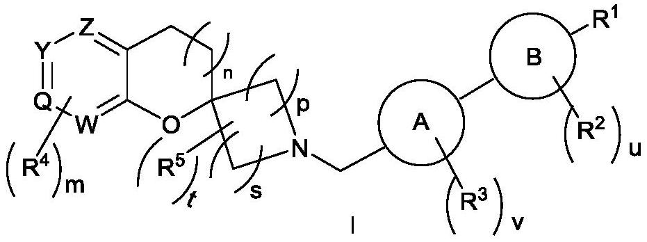 Spiroheterocyclic compound as well as preparation method and application thereof