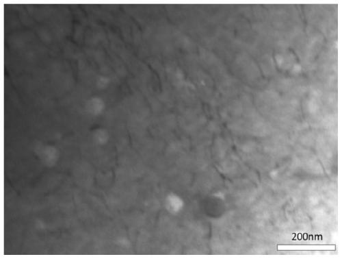 Powder metallurgy material for endophytic oxide strengthening alloy and preparation method thereof