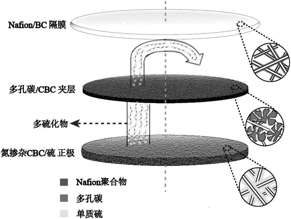 Battery positive electrode based on nitrogen-doped carbonized bacterial cellulose, lithium-sulfur battery and preparation methods therefor