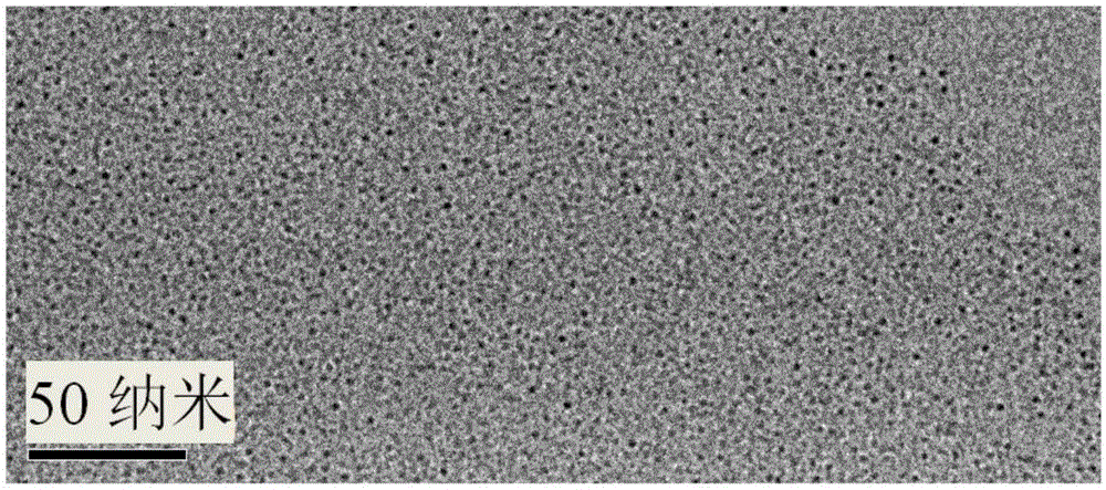 Red luminescent carbon quantum dot, preparation method and application thereof