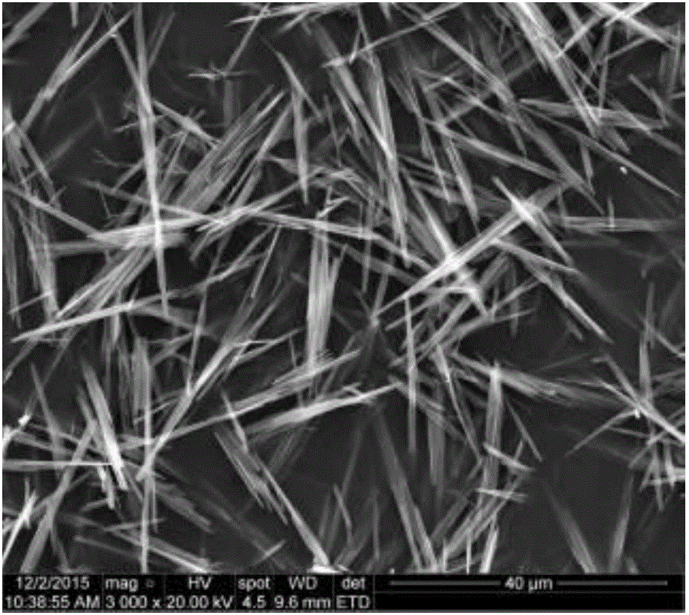 Preparation method of copper benzoate hydroxide-SiO2 composite material with photocatalysis