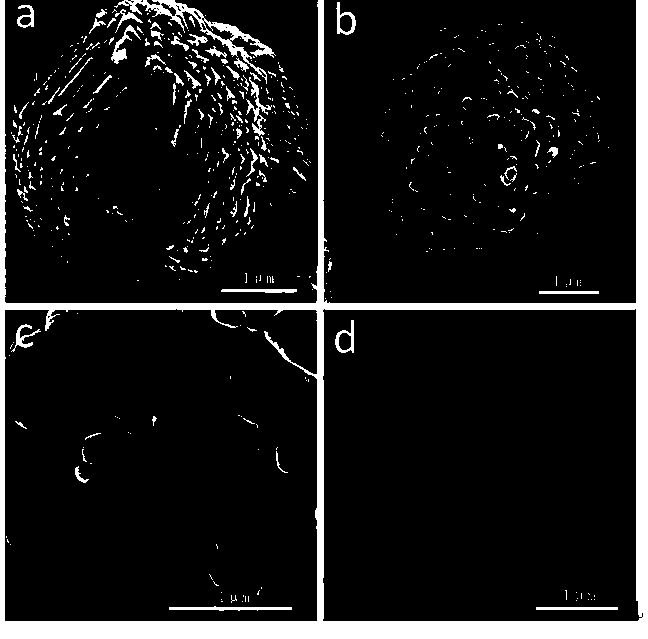 Preparation method of graphene-coated lithium nickel cobalt manganate composite material