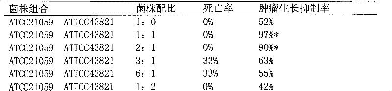 Preparation method of whole cell suspension of streptococcus pyogenes and serratia marcescens