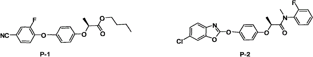 N-substituted alkyl arylxoy phenoxyl propanamide compound with herbicidal activity and preparation and application thereof